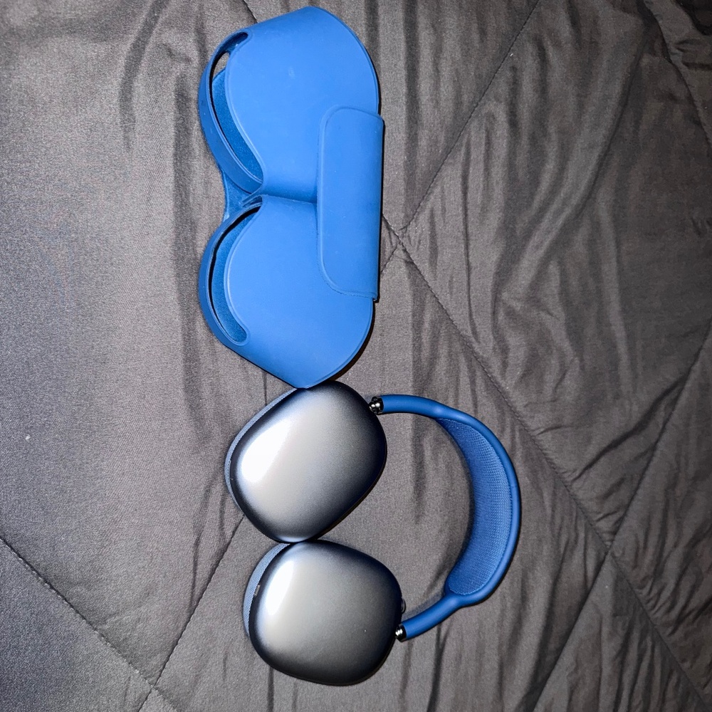 Apple Headphones - Silver and Blue